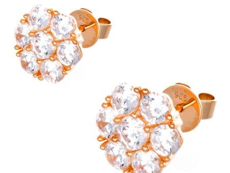 Women s Sterling Silver Rose Gold Finish CZ Stone Fashion Stud Earrings GM-130 Hot on Sale